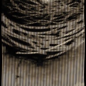 Meet your Posher, Ellen